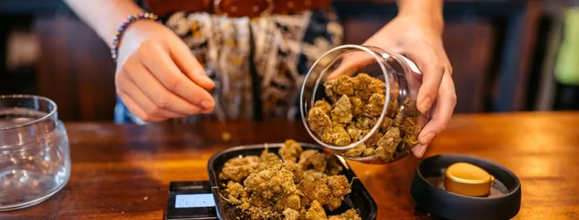 Study: High-THC Cannabis Products Offer Slight Pain Relief but Carry More Side Effects 1 Cannabis Pain Relief, THC Side Effects