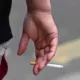 Higher Cigarette Taxes in Colombia Could Fuel Contraband Tobacco 14 Colombia Cigarette Tax, Contraband Tobacco