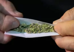 Massachusetts 2026 Laws: Cannabis Lounges & Hunting Rules 9 Massachusetts New Laws 2026, Cannabis Lounges MA