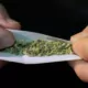 Massachusetts 2026 Laws: Cannabis Lounges & Hunting Rules 18 Massachusetts New Laws 2026, Cannabis Lounges MA