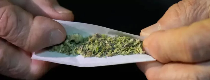 Massachusetts 2026 Laws: Cannabis Lounges & Hunting Rules 1 Massachusetts New Laws 2026, Cannabis Lounges MA