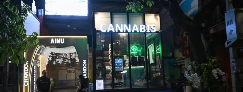 Thailand Plans New Cannabis Rules to Rein in Dispensary Boom 1 Thailand Cannabis Regulation 2026