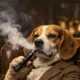 Is Vape Liquid Toxic to Dogs? Study Shows Most Exposures Mild 16 Vape Liquid Toxicity Dogs, Nicotine Poisoning Symptoms Dogs