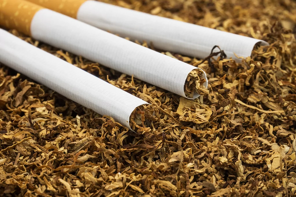 How Will 9 Key Global Shifts in 2025 Reshape the Nicotine Industry in 2026? 7 1768383979 image