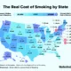 The Real Cost of Smoking by State in the U.S.: Financial Deep Dive 16 1768469998 image