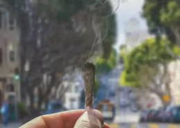 California: Ontario City Council Bans Flavored Tobacco, Nitrous Oxide, and Kratom 8 1769594499 San Francisco California The Artistic Commune