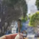 California: Ontario City Council Bans Flavored Tobacco, Nitrous Oxide, and Kratom 15 1769594499 San Francisco California The Artistic Commune