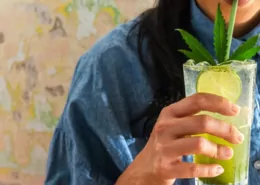 Cannabis Drinks Cut Alcohol Use by 50%: UB Study 4 Cannabis Drinks, Alcohol Harm Reduction