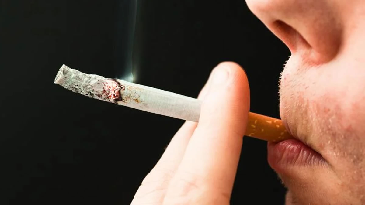 L'industrie du tabac nerlandaise s'oppose au relvement de l'ge lgal du  tabagisme  21 ans - Ecigator