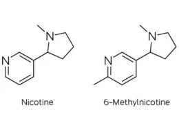 What is Nixodine? Nicotine-Free Vape Alternative Explained 5 What is Nixodine