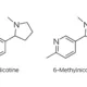What is Nixodine? Nicotine-Free Vape Alternative Explained 19 What is Nixodine