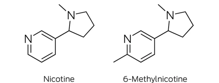 What is Nixodine? Nicotine-Free Vape Alternative Explained 1 What is Nixodine