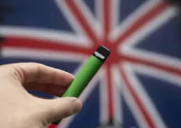 UK Tobacco & Vapes Bill: Councils Face Enforcement Crisis & Illicit Trade 6 Estonia Disposable Vape Ban