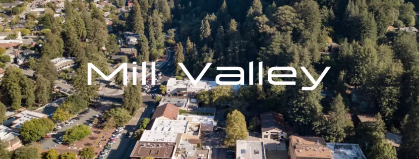 CA: Mill Valley Council Advances Total Ban on Tobacco and Nicotine Sales 1 Mill Valley Tobacco Ban, Marin County Vaping