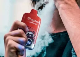 Argentina: La Rioja Bans Vaping in Enclosed Public Spaces 4 Bahía Blanca Vape Ban, Argentina E-Cigarette Law