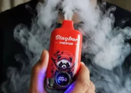 Alabama House Passes Bill to Ban Vaping in Public Indoor Spaces 4 Alabama Vape Ban, SB9 Alabama, Clean Indoor Air Act