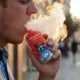 France Vaping Market 2026: 4 Million Users Driven by Tobacco Prices 19 France Vaping Market 2026