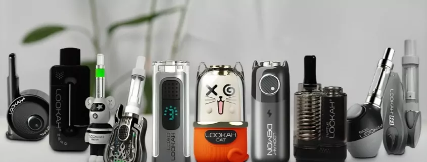 E-Cigs vs Dry Herb Vaporizers: A Clear Guide to Help You Choose the Right One 1 1776322987 image