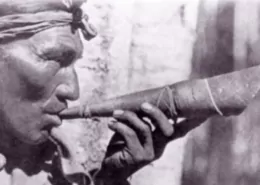 Sacred vs. Commercial Tobacco: The Indigenous Perspective on Smoking Bans 8 sacred tobacco, commercial tobacco