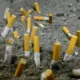 Italy Implements Tobacco and Vape Tax Hikes Through 2028 18 Italy tobacco tax, Italy vape prices