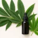 5 Things to Look for When Buying THCa Products Online for the First Time 20 Delta-8 vs Delta-9, THCA differences, hemp regulations 2026