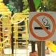 UK Considers Extending Outdoor Smoking and Vaping Bans 16 UK outdoor smoking ban, vape-free spaces