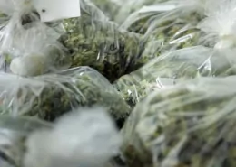 Can You Fly with Medical Marijuana? TSA Rules & Risks Explained 5 travel with medical marijuana, TSA medical marijuana rules