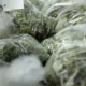 Can You Fly with Medical Marijuana? TSA Rules & Risks Explained 17 travel with medical marijuana, TSA medical marijuana rules
