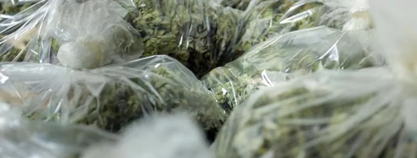 Can You Fly with Medical Marijuana? TSA Rules & Risks Explained 1 travel with medical marijuana, TSA medical marijuana rules