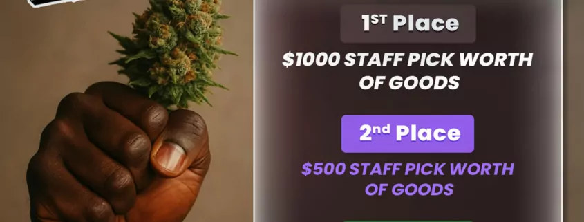 5 Things Experienced Consumers Look for When Choosing Premium Cannabis Flower 1 5 Things Experienced Consumers Look for When Choosing Premium Cannabis Flower