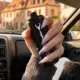 FDA Flavored Vape Approvals Clash With NJ State Ban 12 FDA flavored vape authorization, New Jersey vape ban