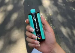 ASH Demands Stricter Vape Rules Despite Acknowledging Cessation Benefits 4 ASH vape regulations, UK vaping la